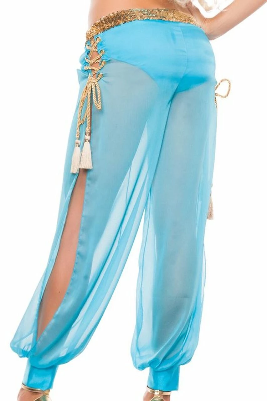Starline Costume Sexy Arabian Nights Costume 5 Starline Costume Sexy Arabian Nights Costume - Image 3