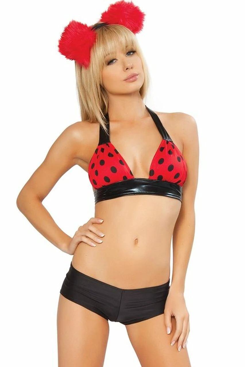 J. Valentine Sexy Deluxe Ladybug Costume 5 J. Valentine Sexy Deluxe Ladybug Costume - Image 3